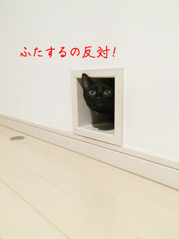 cat_hole_lid_3d_print_13